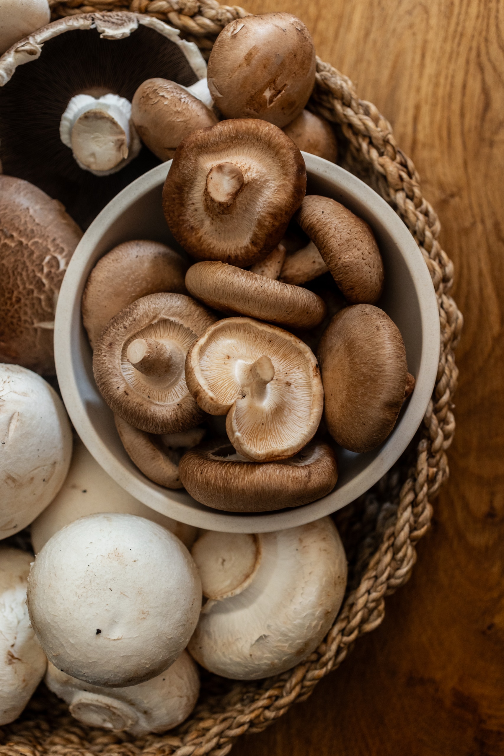 Így bánj jól a gombával